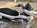 LA PALAU【德國(guó)】洗車(chē)液水蠟高泡沫清潔清洗劑汽車(chē)強(qiáng)力去污蠟水黑白車(chē) 4斤濃縮洗車(chē)水蠟【送海綿+毛巾】 曬單實(shí)拍圖