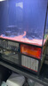 馬印橫變鈦魚缸加熱棒自動(dòng)恒溫水族變頻加溫棒離水?dāng)嚯婟堲~加溫器 馬印橫變鈦1200W 曬單實(shí)拍圖