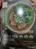 醬心中和淮南牛肉湯湯底 400g(50g*8) 一盒裝【50g*8包】 曬單實拍圖