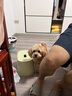 小白熊SnowBear 溫奶器 多功能暖奶器 恒溫調(diào)奶器 嬰兒熱奶解凍加熱寶寶輔食0607 曬單實拍圖