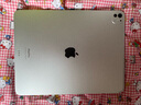 Apple/蘋(píng)果 iPad Pro13英寸M4芯片 2024年新款平板電腦(256G WLAN版/MVX33CH/A)銀色 曬單實(shí)拍圖