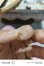 QQ18K金吊墜扣頭玉石翡翠掛件 18K黃金色 A001 曬單實(shí)拍圖