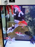 洽苒日本小型魚缸過濾器循環(huán)泵三合一增氧泵吸糞底吸水泵養(yǎng)魚內(nèi)置凈水 TC700(高16cm) 曬單實拍圖