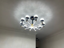惠普輕奢led客廳大燈水晶吊燈全光譜護(hù)眼中山燈具現(xiàn)代北歐吊燈包安裝 曬單實(shí)拍圖