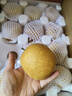 湖北特產(chǎn)百里洲砂梨翠冠梨新鮮現(xiàn)摘脆甜多汁生鮮應(yīng)季水果產(chǎn)地直發(fā) 精品禮盒裝12個(gè)（凈重9斤） 曬單實(shí)拍圖