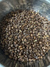 埃塞俄比亞西達摩G4日曬咖啡生豆可定制烘焙2024新產(chǎn)季生豆 500g 西達摩G4 曬單實(shí)拍圖