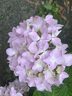 優(yōu)籃子【ulanzi】40W PRO雙色溫COB補(bǔ)光燈內(nèi)置電池桌面直播專業(yè)拍攝像服裝影棚常亮室內(nèi)攝影便攜補(bǔ)光燈 40W Pro補(bǔ)光燈+四葉擋光板+柔光箱 曬單實拍圖