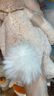 Jellycat致臻害羞羅莎維洛邦尼兔動物毛絨玩偶安撫送禮娃娃生日新婚禮物 害羞維洛邦尼兔 H31 X W12 CM 曬單實拍圖