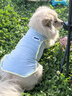MIKI PAD大狗狗涼涼衣夏天防曬涼感衣服金毛邊牧中大型犬寵物薄款透氣背心 薄荷藍(lán)【經(jīng)典款】涼感防曬 5XL胸圍80cm（參考體重45-55斤） 曬單實(shí)拍圖