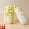 沈佳農(nóng)有機(jī)娃娃菜白菜青菜新鮮蔬菜配送現(xiàn)發(fā)輔食燒烤露營(yíng)火鍋菜白菜400g 娃娃菜400g 曬單實(shí)拍圖