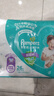 幫寶適（Pampers） 超薄干爽嬰幼兒綠幫紙尿褲男女通用尿不濕 拉拉褲XXXL78【17kg以上】 曬單實拍圖