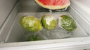 廣東香水檸檬一級無籽青皮檸檬水果小青檸檸檬香水新鮮檸檬大果 超值大果1斤裝【約3到5只】 曬單實拍圖