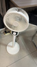 【全網(wǎng)爆款】空氣循環(huán)扇家用電風(fēng)扇靜音立式落地風(fēng)扇制冷空調(diào)臥室桌面臺(tái)扇輕音宿舍遙控一級(jí)能效 旗艦機(jī)械款+自動(dòng)搖頭+臺(tái)立兩用+三擋風(fēng)扇-白 曬單實(shí)拍圖