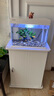 森森（SUNSUN）超白魚缸一體缸自循環(huán)客廳桌面小型家用水族箱HEJ-380 曬單實(shí)拍圖