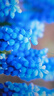 HKC 23.8英寸240Hz高刷FastIPS小金剛1ms硬件低藍(lán)光HDR400廣色域電競(jìng)游戲PS5顯示器獵鷹 G24H3S經(jīng)典版 曬單實(shí)拍圖