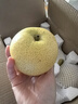 【辛集館】 2024新果河北正宗青皮皇冠梨新鮮采摘水果  青梨 綠色 凈重4.5斤(6-8枚) 曬單實(shí)拍圖