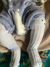 必好妝詩 夏季網眼寶寶防蚊長筒兒童襪子男女初生嬰兒襪過膝小童襪透氣 黃小鴨+白小象+藍狐貍 XS碼 0-1歲【腳長7-11cm】 曬單實拍圖