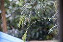 佳能 Canon 750D 760D 800D 850D 半畫幅 入門級二手單反數(shù)碼相機(jī) 入門單反 佳能750D（18-135 IS 套機(jī) 99成新 曬單實拍圖