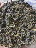 蒲公英茶500g長(cháng)白山蒲公英散結茶正宗新鮮天然養生茶夏天清熱茶飲婆婆丁蒲公英消散結中藥材干草泡水喝 新生產(chǎn) 當日發(fā)貨 蒲公英250gX1桶 共250g 曬單實(shí)拍圖