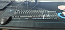 羅技（Logitech）K845機(jī)械鍵盤 有線鍵盤 辦公電腦打字鍵盤 電競游戲發(fā)光全尺寸個(gè)性化定制鍵帽卡皮巴拉 生日禮物 【K845+耿鬼鍵帽】茶軸 曬單實(shí)拍圖