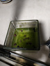 四季混色碗蓮入水即活魚缸庭院盆景易種水生小荷花睡蓮綠植 碗蓮種子/包約5粒 1包 曬單實拍圖