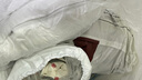 無印良品全棉被褥學(xué)生六件套（三件套+枕芯套+被芯+床褥）被子寢室上下鋪 曬單實拍圖