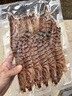 野生花蝦特大斑節蝦九節蝦基圍蝦大蝦竹節蝦黑虎蝦海蝦明蝦鮮活 500g(凈重)  活蝦速凍《1斤11-15條》14-17cm 曬單實(shí)拍圖