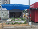 【送貨上門】推拉棚折疊雨棚大排檔燒烤大型倉庫帳篷戶外移動擺攤 定制四周圍布（選擇款式報價） 曬單實拍圖