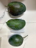 京覓四川攀枝花凱特芒 芒果凈重4.5-5斤單果400g起 新鮮水果源頭直發(fā) 曬單實拍圖