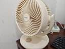 海爾（Haier）空氣循環(huán)扇電風扇臺式風扇桌面家用小型臺扇小風扇輕音廚房壁扇宿舍臥室辦公搖頭渦輪換氣扇 【臺壁兩用】循環(huán)搖頭款HFX-J2049A 曬單實拍圖
