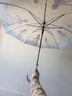 優(yōu)麗尚迪士尼正版艾莎公主兒童雨傘透明女孩高顏值可愛自動學生上學專用 艾莎跳舞1把 8骨 曬單實拍圖