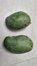 【新鮮當季新鮮】金煌芒大青芒芒果 帶箱4斤【單果250g+】 曬單實拍圖