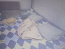 潔麗雅（Grace）A類全棉印花四季親膚吸汗床上用品床單單件 3A抗菌160*230cm 英倫 曬單實拍圖