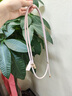 與樂(lè)（yule）【蠟筆小新】適用蘋(píng)果16手機(jī)殼magsafe磁吸iPhone15promax全包防摔14保護(hù)套13情侶款plus小眾12女 【電鍍銀】 iPhone16pro 曬單實(shí)拍圖