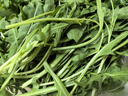 千牛優(yōu)福芝麻菜250g-500g 新鮮蔬菜沙拉食材 生菜 西餐 火箭菜 新鮮芝麻菜500g 曬單實(shí)拍圖