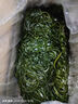 鮮海帶 鹽漬海帶絲 涼拌菜海帶絲食材鮮嫩 新鮮鹽漬海帶絲2.5kg 曬單實拍圖