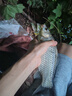 龍王恨魚餌果色天香百果香高溫開口料競技黑坑野釣鯽魚鯉魚鳊魚通殺餌料 果色天香(5包)+野戰(zhàn)藍鯽(1包) 曬單實拍圖
