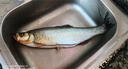 蝦皮串鉤釣組翹嘴專用路亞串鉤仿生魚皮蝦皮勾套裝海釣夜光丸世鉤 5號蝦皮串鉤6鉤版5付 曬單實(shí)拍圖