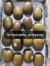 佳沛（zespri）新西蘭陽光金奇異果原箱 16粒巨無霸 單果重約202-230g   獼猴桃 曬單實拍圖