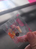 FANCL HealthScience香港直郵 日本原裝進(jìn)口每日綜合維生素營(yíng)養(yǎng)包 【2月量】40+女營(yíng)養(yǎng)包x2袋 曬單實(shí)拍圖