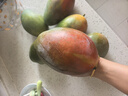 京鮮生 攀枝花凱特芒 凈重8.5斤 帶箱9斤 單果600g+ 生鮮水果 源頭直發(fā) 曬單實拍圖