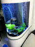 靚寵底濾屏風(fēng)隔斷子彈頭魚缸水族箱客廳家用中大型玻璃入戶門玄關(guān)金魚 白色 （底濾+液晶顯示屏+大禮包） 長80cm寬40cm高160cm 曬單實(shí)拍圖