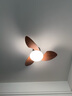 CASAGD兒童房護(hù)眼吸頂風(fēng)扇燈餐廳家用吊扇燈全光譜智能臥室書房casa照明 直徑80cm-亮度升級(jí)-三色變光 曬單實(shí)拍圖