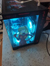 華碩全家桶【24期免息】RTX5070ti/5070/5060Ti顯卡i5 14600KF臺(tái)式主機(jī)明日香定制mod組裝電腦DIY整機(jī) i5 13400F+華碩RTX5060 配置一 曬單實(shí)拍圖