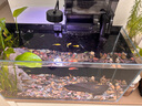 魚缸背景貼紙靜電黑色背景圖 長1米x高30cm【無膠背景貼紙】 曬單實(shí)拍圖