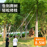 EVANLEY德國(guó)高空修剪樹枝剪刀高枝剪省力伸縮專用加長(zhǎng)桿果樹高空鋸神器 7米伸縮高枝剪【鍘刀款+折疊鋸】 曬單實(shí)拍圖