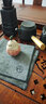 八千行宜興原礦紫砂蒜頭小鳥(niǎo)茶寵創(chuàng)意擺件精品手工小茶玩茶桌可愛(ài)裝飾品 曬單實(shí)拍圖