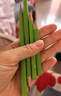 Kasimir卡西米爾鉛筆小綠桿小學(xué)生hb2b書(shū)寫(xiě)筆一年級考試專(zhuān)用涂卡筆 HB-15支 曬單實(shí)拍圖