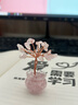 菩境水晶樹擺件聚寶盆黃水晶發(fā)財(cái)樹水晶碎石diy水晶盆栽車載擺件 曬單實(shí)拍圖