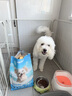 力狼（LILANG）狗糧幼犬糧 博美泰迪柯基金毛邊牧全犬種中小型犬通用型狗糧 【鮮肉羊奶】幼犬專研糧2kg4斤 曬單實拍圖